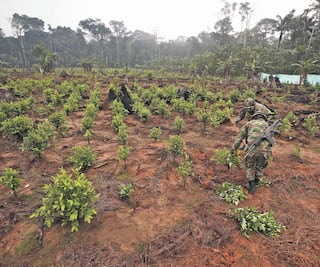 Colombia: narcos de México silencian prensa