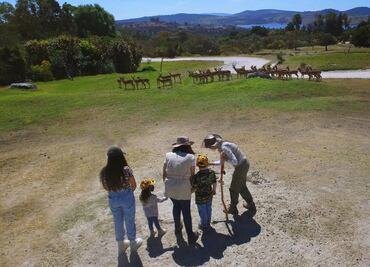 10 lugares para celebrar a los niños, a menos de 3 horas de CDMX