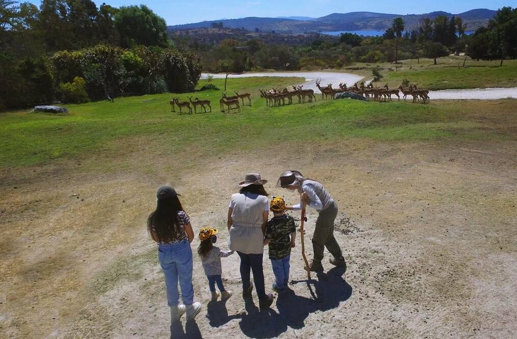 Foto: Africam Safari