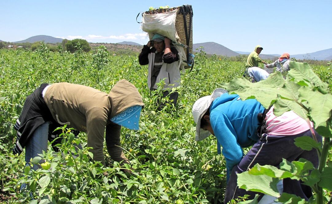 Foto: Archivo / EL UNIVERSAL