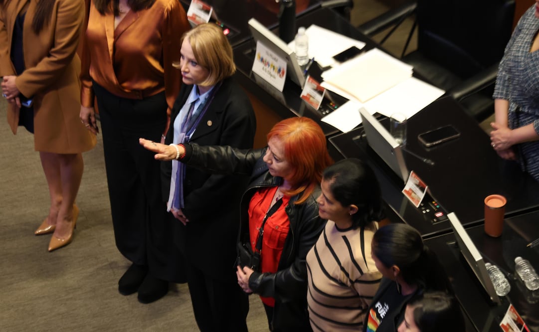 Rosario Piedra jura ante el senado como presidenta de la CNDH. Foto. Diego Israel / EL UNIVERSAL