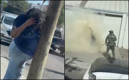 Enjambre de abejas ataca a mujer en Culiacán; hallan presunto apiario