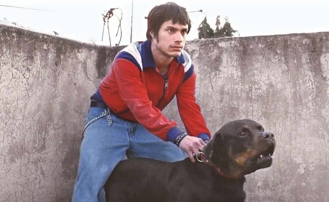 La historia de Amores perros se estrenó internacionalmente en mayo de 2000. Foto: ALTAVISTA FILMS