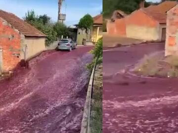 VIDEO. Río de vino tinto inunda poblado de Portugal: estallaron tanques de una destilería
