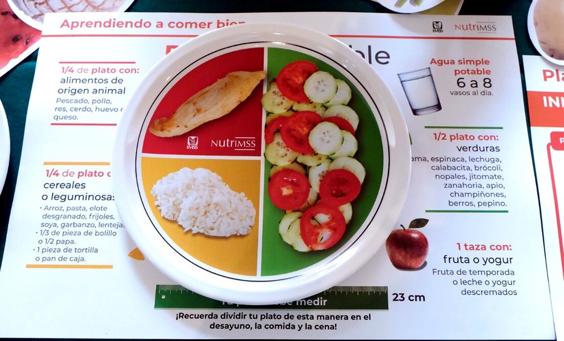 La base de una alimentación saludable es incluir un alimento de cada grupo para cubrir las necesidades nutrimentales de una persona. Foto: especial