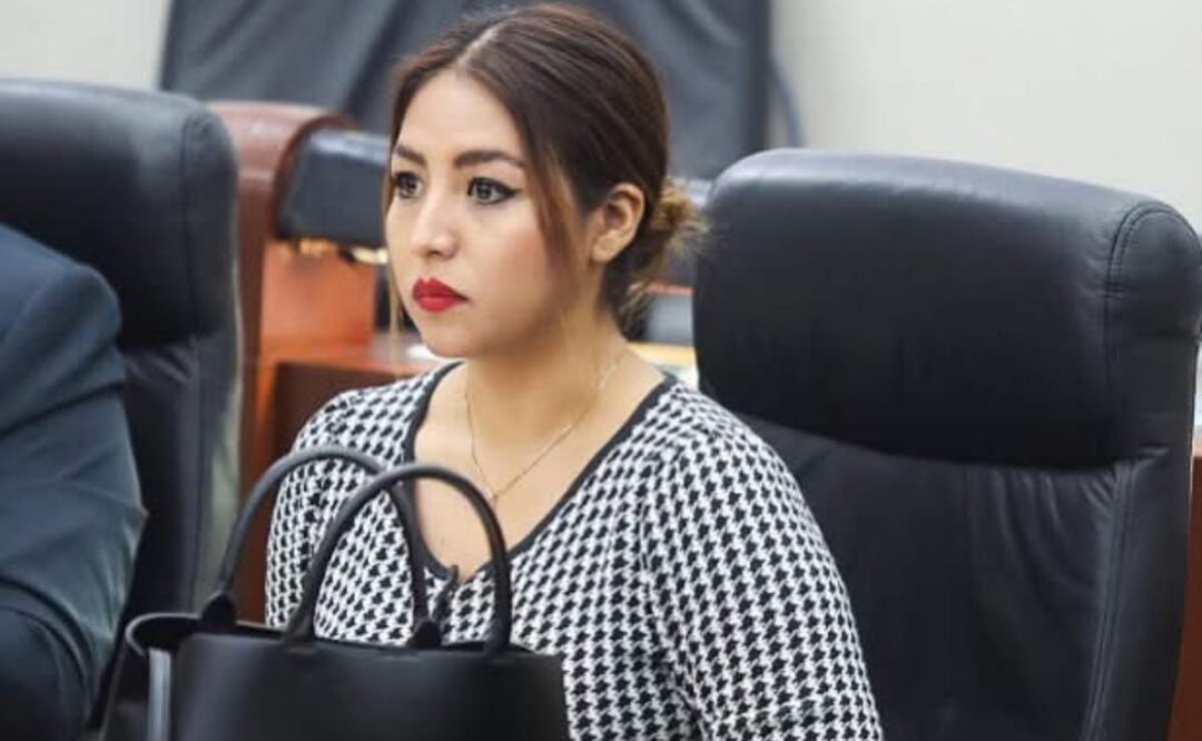 Roxanna Hernández Ramírez, diputada del Partido Verde Ecologista de México (PVEM) en San Luis Potosí (13/02/2025). Foto: Especial