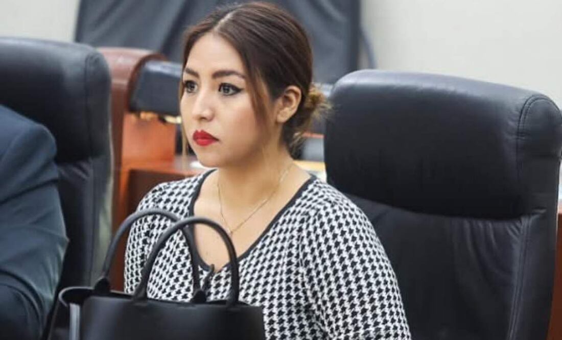 Roxanna Hernández Ramírez, diputada del Partido Verde Ecologista de México (PVEM) en San Luis Potosí (13/02/2025). Foto: Especial