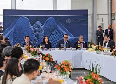 Tribunal va por sexto integrante para calificar la elección