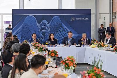 Tribunal va por sexto integrante para calificar la elección