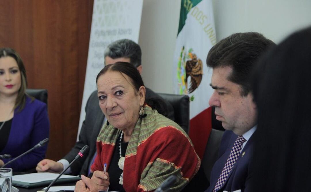 La senadora de Morena Lucía Trasviña Waldenrath. Foto: Especial