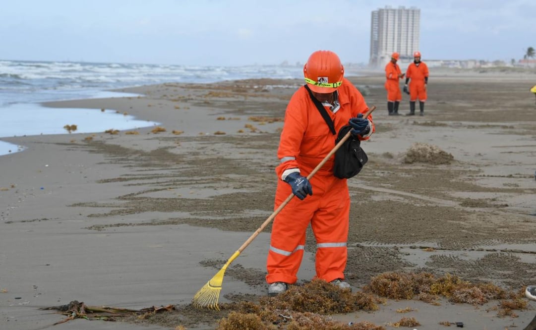Trabajadores de la empresa MAYA, subcontratada por Pemex, llevan a cabo intensas labores de limpieza a lo largo de la playa de Coatzacoalcos, como parte de las acciones para atender la presencia de hidrocarburos en la zona (25/03/2026). Foto: Ángel Hernández/ Cuartoscuro