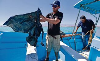 Mantener el polígono de protección de la vaquita marina evita su extinción; redes de enmalle son la principal causa de muerte, dicen expertos