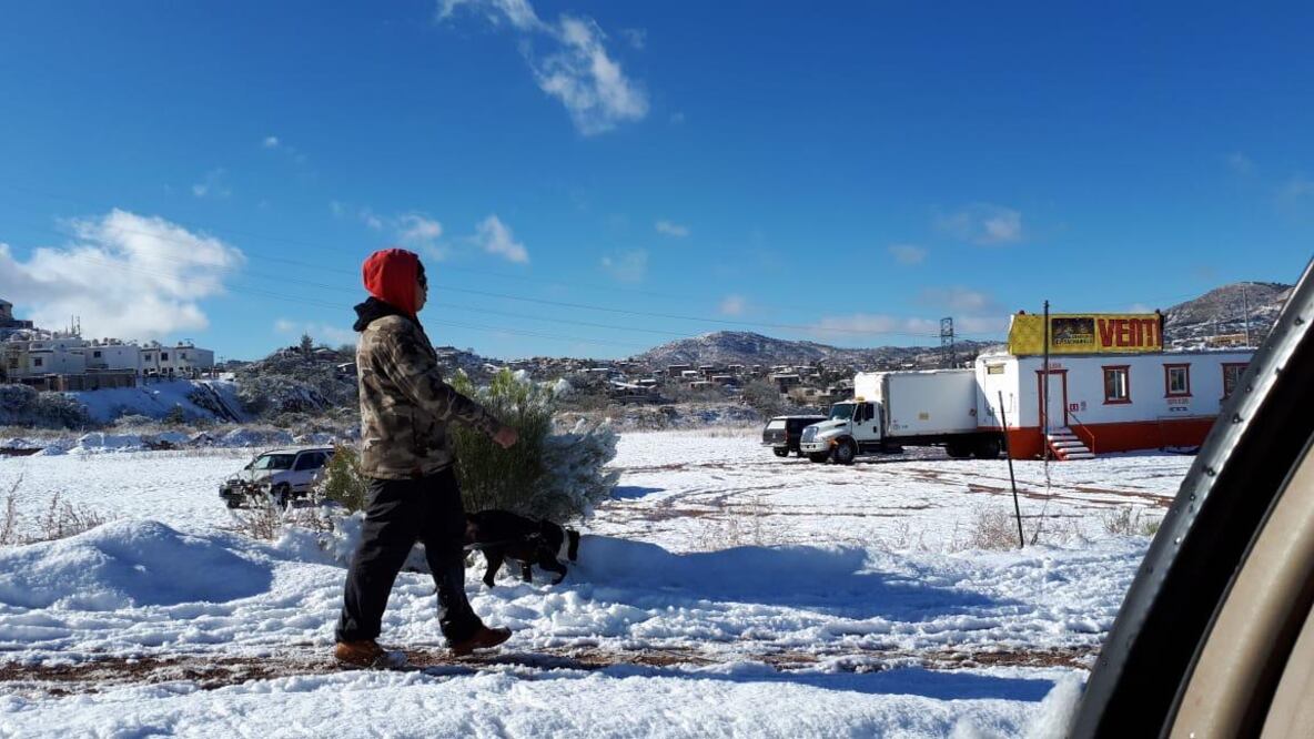 Foto: Cortesía / Sergio García