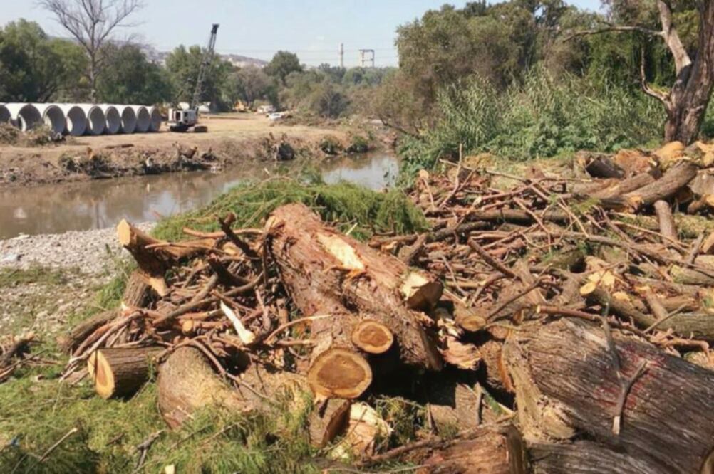 Se calcula que la capacidad de saneamiento de la presa, que se pretende construir y por la que se comenzaron a cortaron los árboles, tendrá 35 metros cúbicos por segundo para beneficio de 700 mil personas. (ESPECIAL)