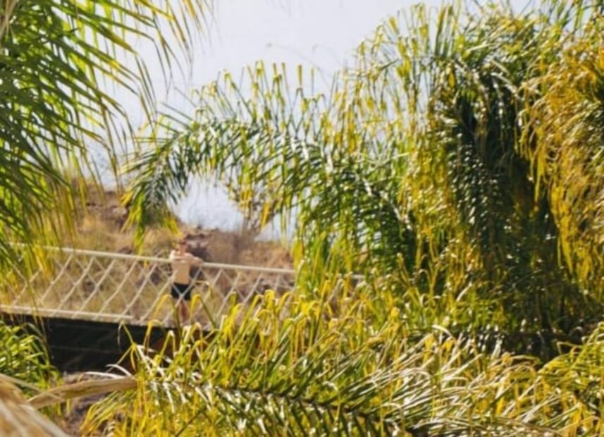 Cuánto cuesta ir a El Geiser, un balneario con aguas termales en Hidalgo