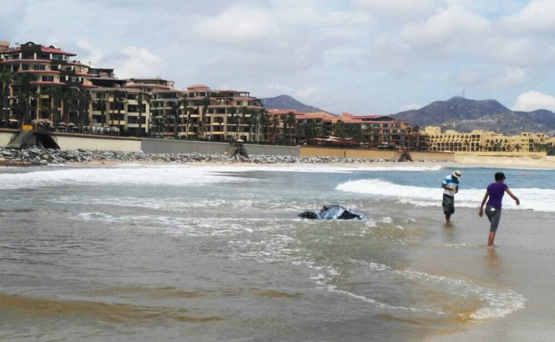 Foto: Archivo/ EL UNIVERSAL                                   