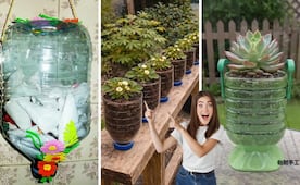 ¡No los tires a la basura!; descubre cómo reutilizar tus garrafones de plástico