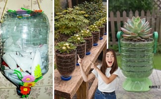¡No los tires a la basura!; descubre cómo reutilizar tus garrafones de plástico