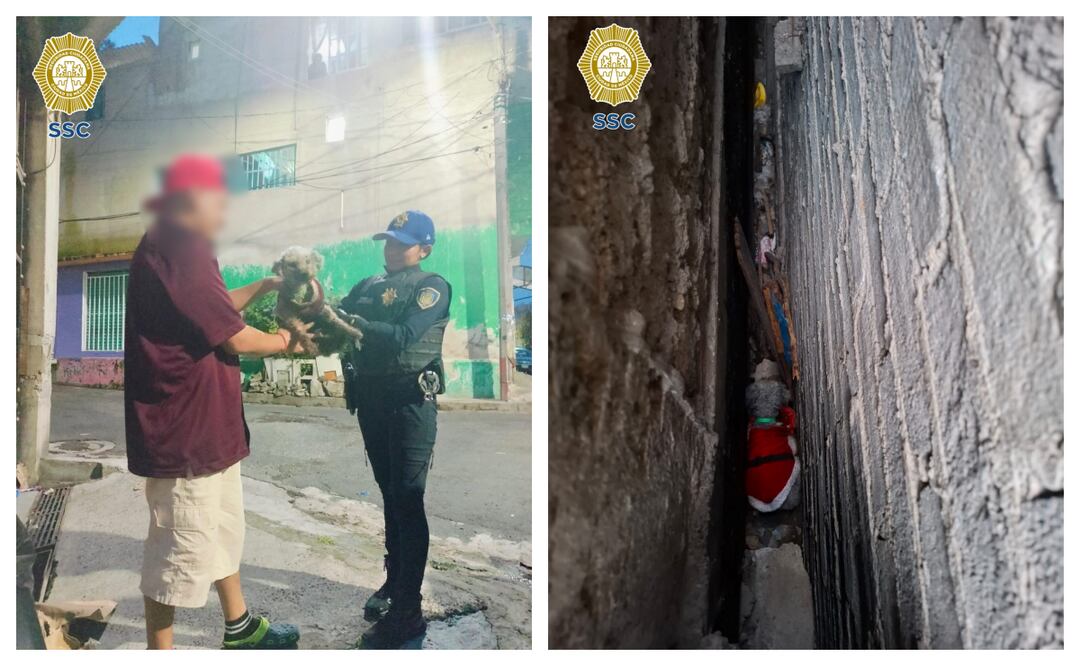 Policías rescatan a perrito atrapado entre muros; operativo ocurrió en Iztapalapa. Foto: Especial