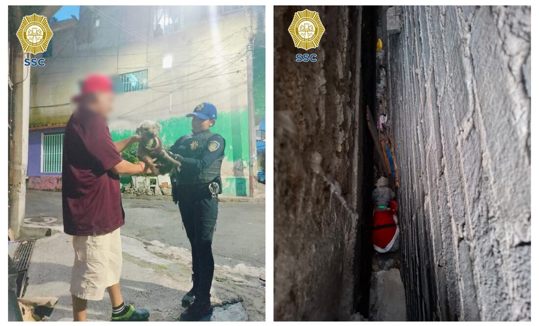 Policías rescatan a perrito atrapado entre muros; operativo ocurrió en Iztapalapa. Foto: Especial
