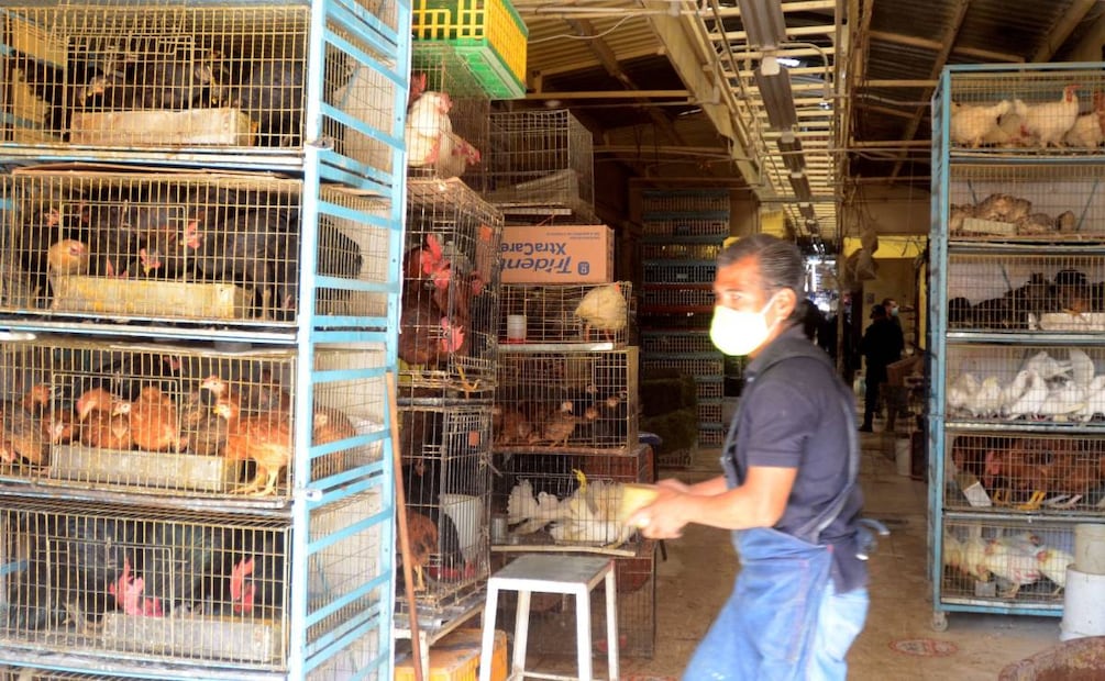 Foto: Cuartoscuro/El Universal