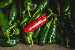 Taylor Farms retira jalapeños mexicanos en EU por brote de salmonela en 27 estados