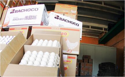 Pollo, huevo y leche, entre los beneficiados con plan de AMLO contra inflación: Bachoco