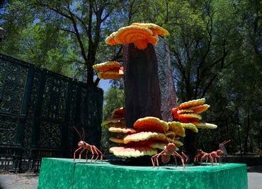 Festival Spora 2025: ¿Dónde se ubican los brotes de macrohongos en el Bosque de Chapultepec?