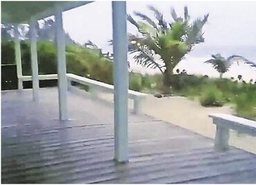 Por huracán "Grace", SAT cierra oficinas en Q.Roo, Yucatán y Campeche