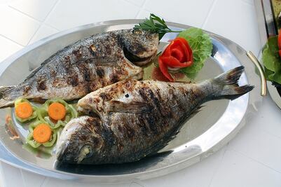 Tipos de pescado y sus beneficios
