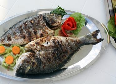 Tipos de pescado y sus beneficios