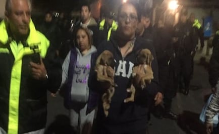 Rescatan a 38 perros de venta ilegal en Edomex 