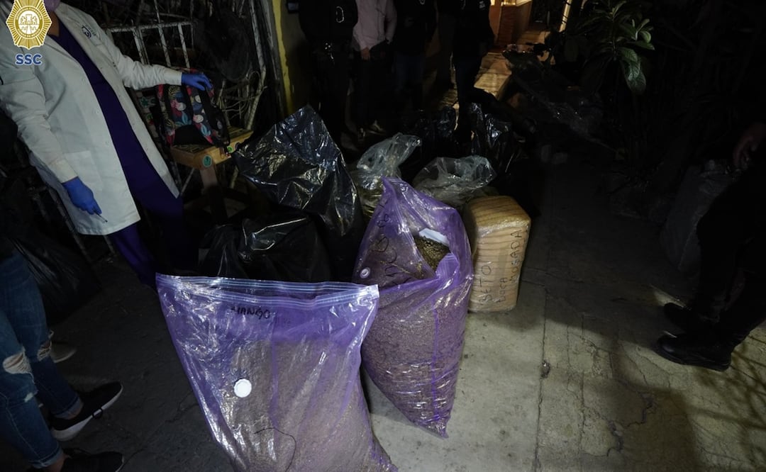 Policía capitalina asegura 350 kilos de marihuana en cateo en Venustiano Carranza; detienen a tres hombres. Foto: Especial