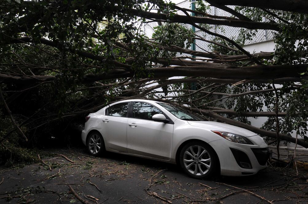 Armando Martínez / El Gráfico