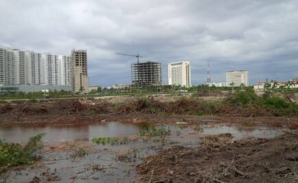 Acuerdan rescate de animales en Malecón Tajamar