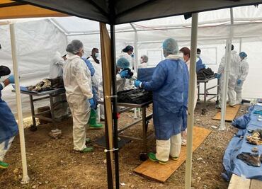 Caso "Crematorio Plenitud": Sube a 27 el número de cuerpos identificados; hasta el momento, se han entregado 13 restos