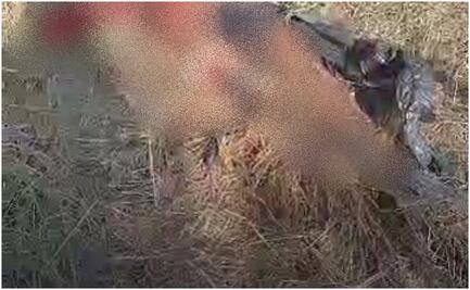 Colectivo localiza restos humanos en Tamaulipas; podría tratarse de una mujer