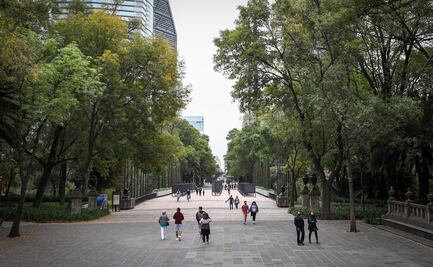 Son 122 equipos los que concursan para el Centro de Cultura Ambiental de Chapultepec