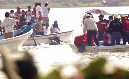 Pese a ley, someten toros en fiesta de Tlacotalpan