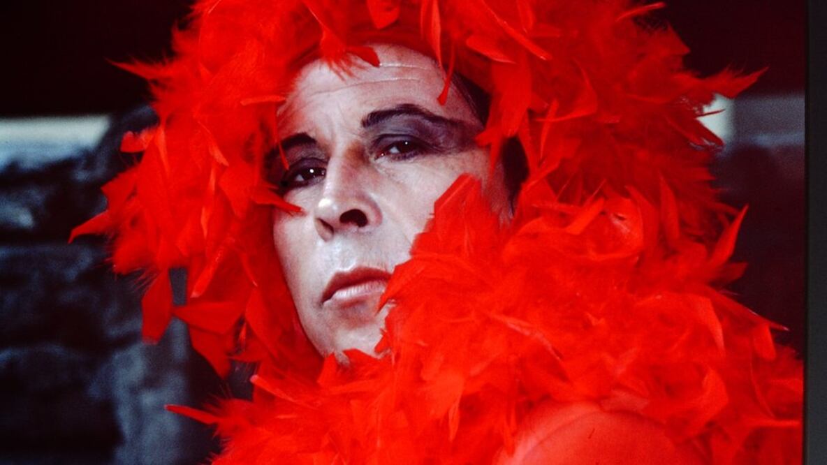 Lemebel, el artista que nombró más de 50 sinónimos de la palabra gay