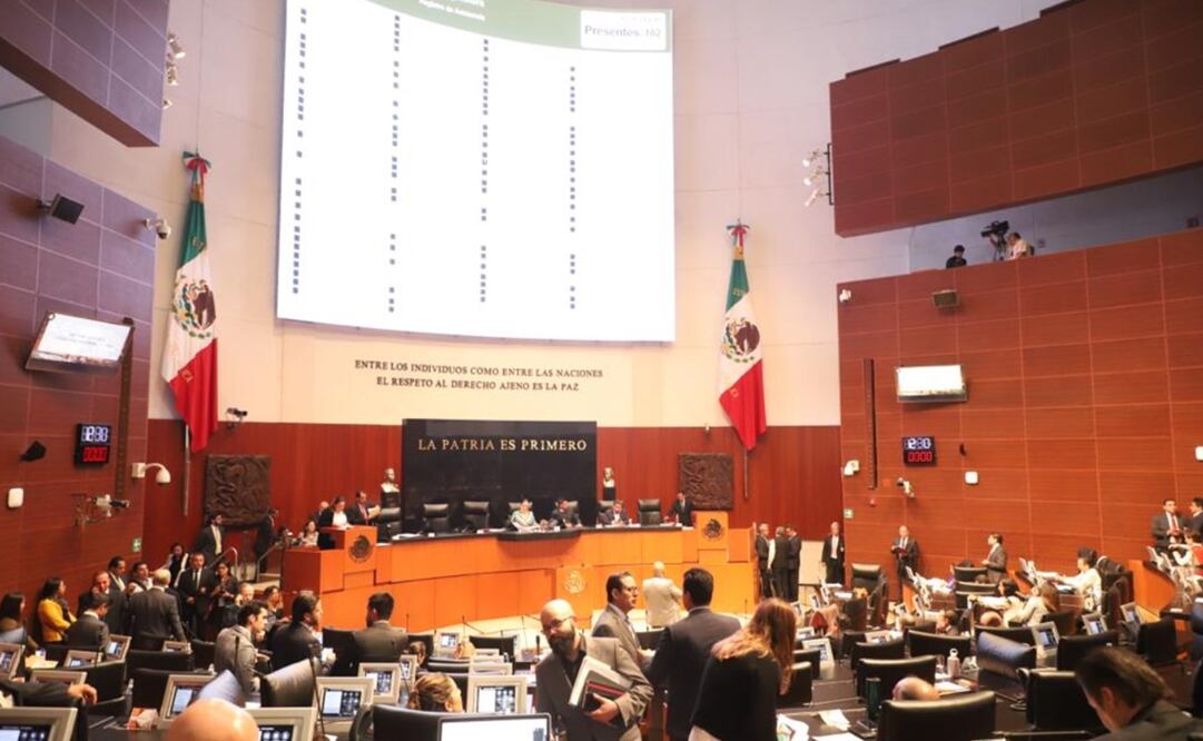 Foto: Canal del Congreso 