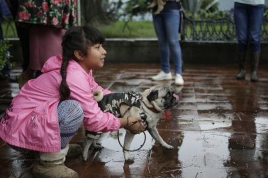 ​Bendicen a mascotas en Día de San Ramón en Oaxaca