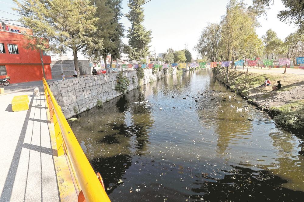 El Canal Nacional se extiende por cerca de 12 kilómetros de cuatro alcaldías, cuyos habitantes, organizados desde hace 15 años, intentan conservar. Fotos: JUAN BOITES. EL UNIVERSAL