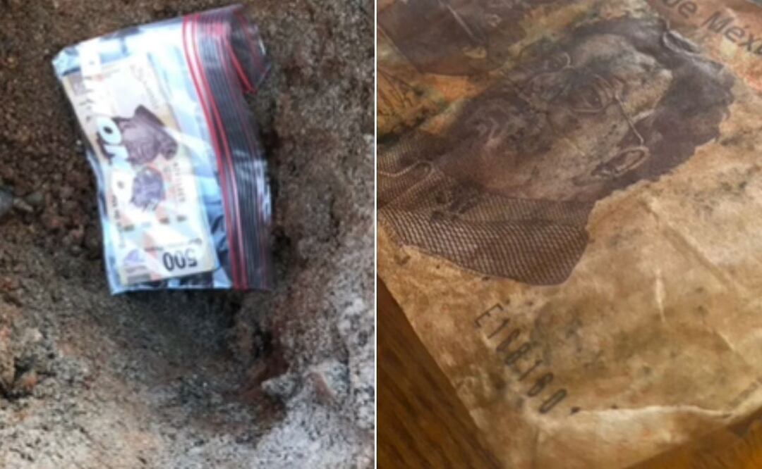 Enterró sus ahorros y se llevó una sorpresa cuando los sacó. Foto: Captura de pantalla tomada de TikTok @jerry_rico92