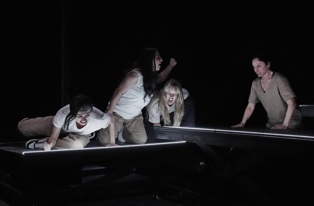 La otra  "Ana contra la muerte" es protagonizada por Mariana Giménez, Nohemí Espinosa, Montse Ángeles Peralta y Mariana Gajá.
Foto: Cortesía