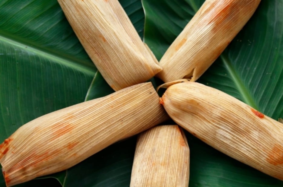 Fiesta de las Culturas Indígenas en CDMX muestra la diversidad cultural de la capital