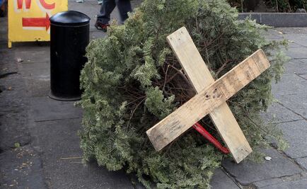 Confunden árbol de Navidad con cadáver en Iztapalapa 