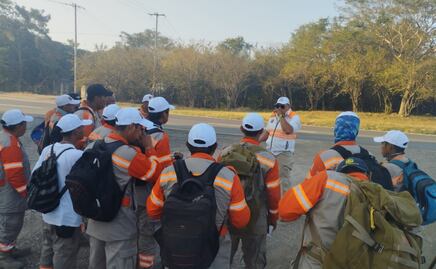 Incendios consumen 39 hectáreas de área natural protegida en Chiapas