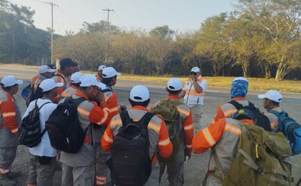 Incendios consumen 39 hectáreas de área natural protegida en Chiapas