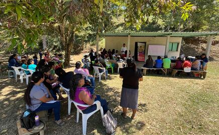 "Oro Mágico", la cooperativa oaxaqueña de café que desafía al cambio climático, a los coyotes y fortalece la economía local